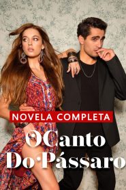O Canto do Pássaro